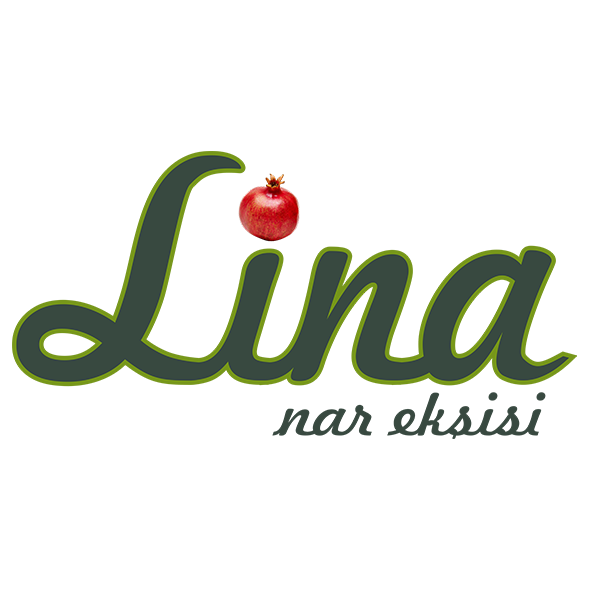 Lina_Nar_Patent_001